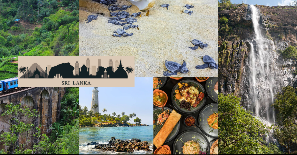 8-Day Southern Discovery